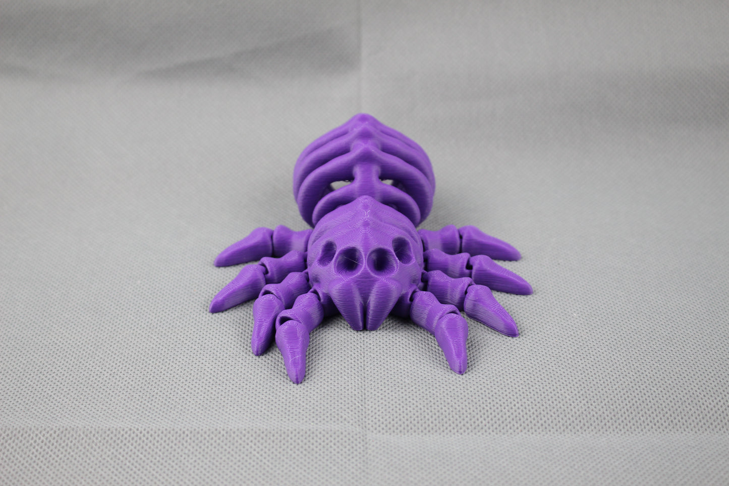 Bone-Back Spider