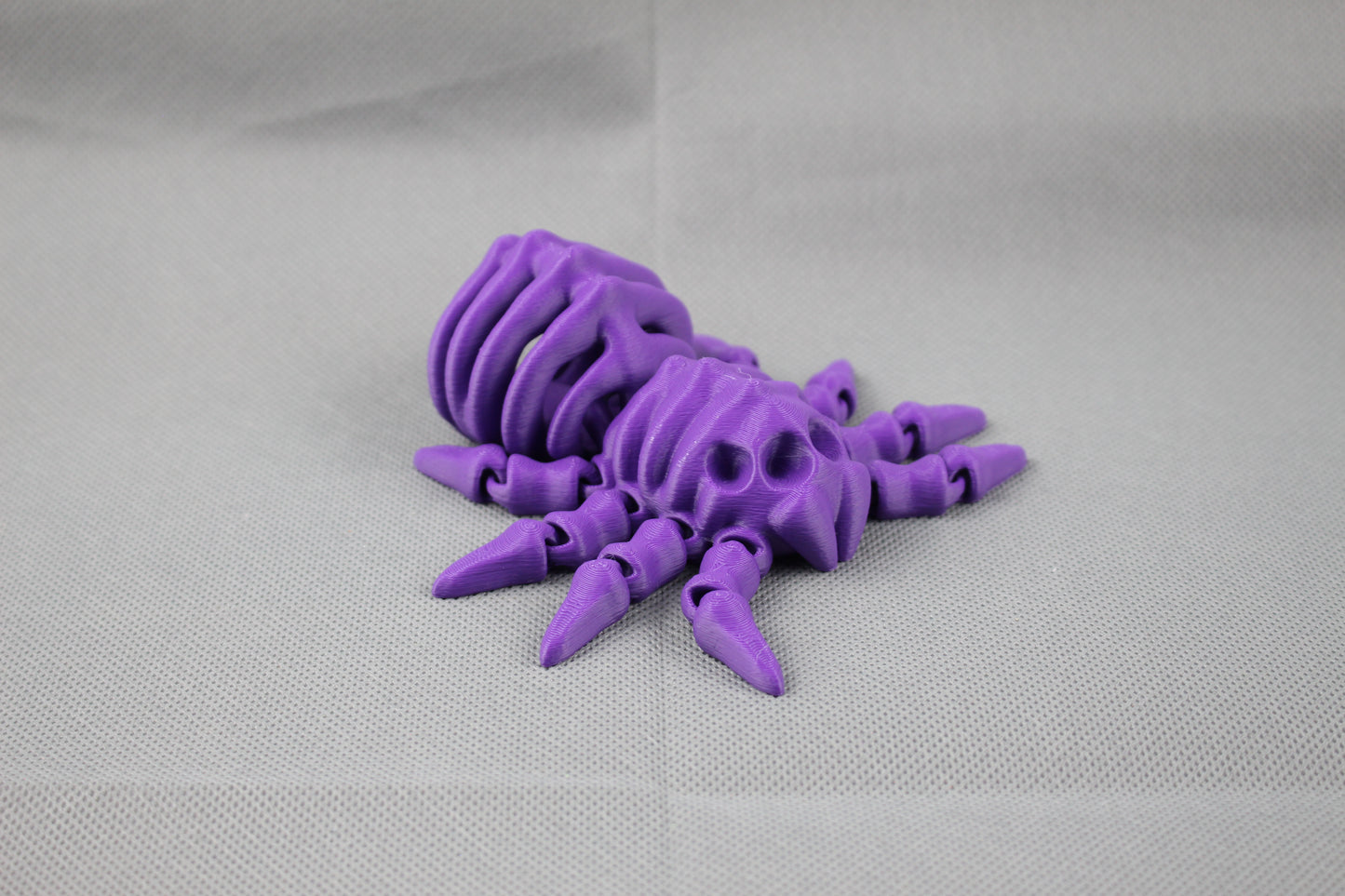 Bone-Back Spider