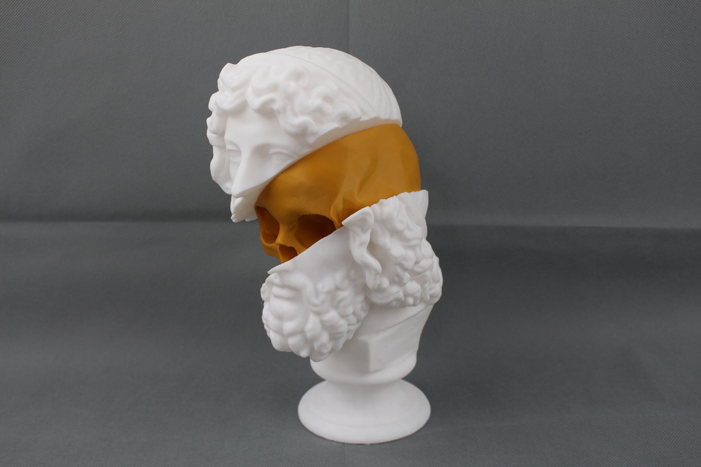 Split Bust