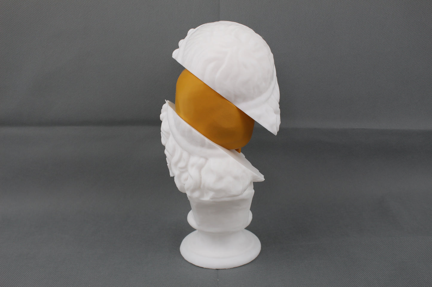 Split Bust