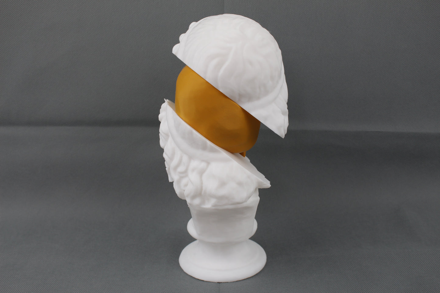 Split Bust